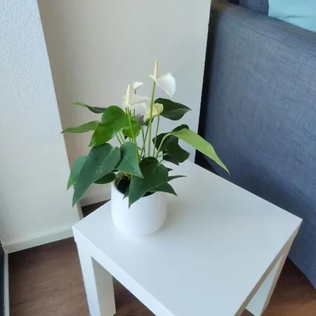 Ferienwohnung Eyach Apartamento Balingen